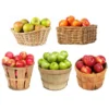 5-in-1 Apple Tree -Deals The Flora Sprout Store 5 in 1 Apple 600x600 7aa95aa9 ebc1 4f49 a1e8 94e9b1d7155c