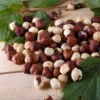 American Hazelnut Filbert 1 American Hazelnut Filbert -Deals The Flora Sprout Store American Hazelnut FGT 600x600 d015e01b c4d6 4c82 8311 7588dd611154
