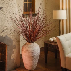 Arctic Fire® Red Twig Dogwood 12 Arctic Fire® Red Twig Dogwood -Deals The Flora Sprout Store Arctic Fire Twig Dogwood 6 FGT