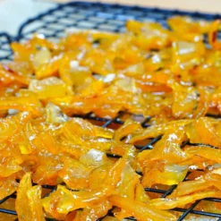 Buddha's Hand Citron Tree 13 Buddha's Hand Citron Tree -Deals The Flora Sprout Store BUddhas Hand Citrus 5 d0b5e29b 00e2 44d7 8828 01d6eb2254cf