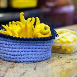 Buddha's Hand Citron Tree 11 Buddha's Hand Citron Tree -Deals The Flora Sprout Store BUddhas Hand Citrus 6 FGT 8e440ac0 ef1a 452e 8576 5c1e7bf4eb5a