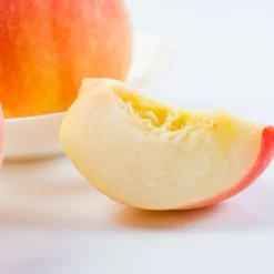 Belle Of Georgia Peach Tree 9 Belle Of Georgia Peach Tree -Deals The Flora Sprout Store Belle of Georgia 3 ea75db8c 1c8e 47c4 9aac 3f7fe043655e