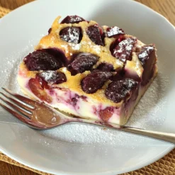 Burgundy Plum Tree 11 Burgundy Plum Tree -Deals The Flora Sprout Store Burgundy Plum 3