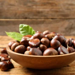 Chinese Chestnut Tree 11 Chinese Chestnut Tree -Deals The Flora Sprout Store Chinese Chestnut 3 FGT