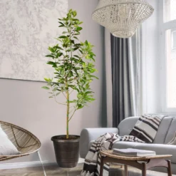 Deals The Flora Sprout Store -Deals The Flora Sprout Store Day Condo Avocado 3