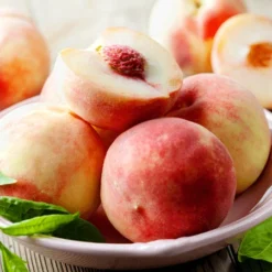 Early White Giant Peach Tree -Deals The Flora Sprout Store Early White Giant Peach Tree 450 D1