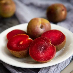 Elephant Heart Plum Tree -Deals The Flora Sprout Store Elephant Heart Plum 1