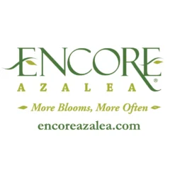 Autumn Fire® Encore® Azalea Shrub 13 Autumn Fire® Encore® Azalea Shrub -Deals The Flora Sprout Store Encore Logo 1000x1000 919283c2 7804 49e2 956d 5cb853704c7c