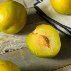 Flavor Queen Pluot® 9 Flavor Queen Pluot® -Deals The Flora Sprout Store Flavor Queen Pluot 2