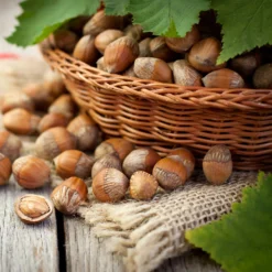 Hazelnut Pollinator Pack -Deals The Flora Sprout Store Hazelnut polinator pack1