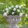 Jubilation™ Gardenia Shrub 2 Jubilation™ Gardenia Shrub -Deals The Flora Sprout Store Jubilation Gardenia FGT 600x600 bd124386 3946 45a6 bda4 3426b2c3eacf