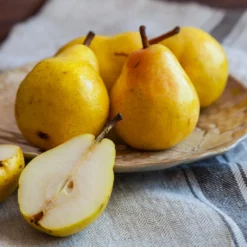 Kieffer Pear Tree -Deals The Flora Sprout Store Kieffer pear 1 FGT