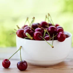 Lapins Cherry Tree 8 Lapins Cherry Tree -Deals The Flora Sprout Store Lapins Cherry Tree 2 FGT 325a18e6 7143 4729 a41b b0d9614909b8