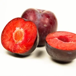 Methley Plum Tree -Deals The Flora Sprout Store Methley Plum 3 6230ed7a 5c4e 4b03 88d0 ad8f75f62363