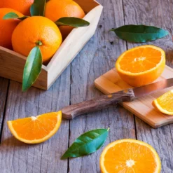 Midknight Valencia Orange 10 Midknight Valencia Orange -Deals The Flora Sprout Store MidKnight Orange 3 FGT