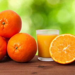 Midknight Valencia Orange 11 Midknight Valencia Orange -Deals The Flora Sprout Store MidKnight Valencia Orange 3