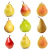 4-in-1 Pear Tree -Deals The Flora Sprout Store Multifruit Pear 600x600 effb9abc 71f5 4109 90d7 c95a99fb3650