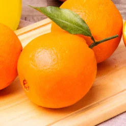 Navel Orange Tree - USDA Organic -Deals The Flora Sprout Store Navel Orange 2 FGT 14629529 59ec 469f 9eb9 2f95d6d1513b