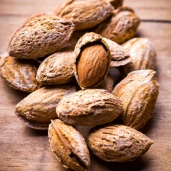 Nonpareil Almond Tree -Deals The Flora Sprout Store Nonpareil Almonds 3