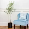Oliana Olive Tree 1 Oliana Olive Tree -Deals The Flora Sprout Store Oliana Olive 600x600 6f3a3c9f e168 44ff aa92 eb7e474a89dc