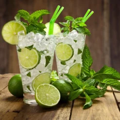 Persian 'Bearss' Lime Tree 13 Persian 'Bearss' Lime Tree -Deals The Flora Sprout Store Persian Lime Tree 4 FGT