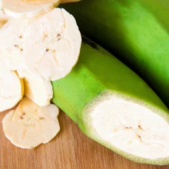 Puerto Rican Plantain Banana Tree 12 Puerto Rican Plantain Banana Tree -Deals The Flora Sprout Store Puerto Rican Plantain Banana Tree 3