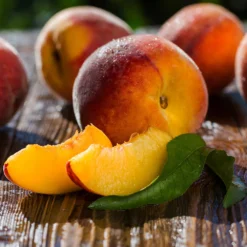 Red Baron Peach Tree 11 Red Baron Peach Tree -Deals The Flora Sprout Store Red Baron Peach 4