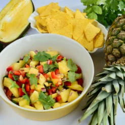 Salsa Kit -Deals The Flora Sprout Store Salsa Kit 2