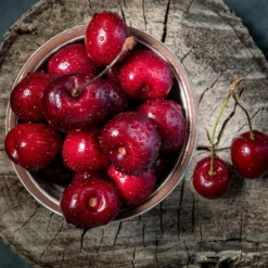 Santina™ Cherry Tree -Deals The Flora Sprout Store Santina Cherry 1