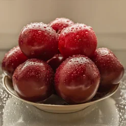 Satsuma Plum Tree -Deals The Flora Sprout Store Satsuma Plum 3