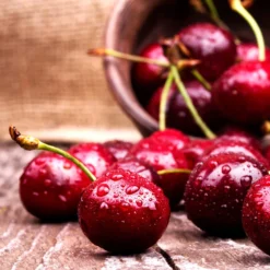 Skeena Cherry Tree -Deals The Flora Sprout Store Skeena Cherry 4 FGT