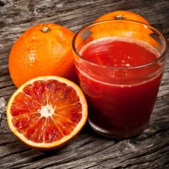 Smith Red Orange -Deals The Flora Sprout Store Smith Red Orange 3 FGT