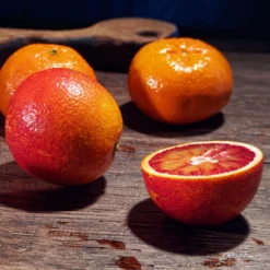 Smith Red Orange -Deals The Flora Sprout Store Smith Red Orange 5 FGT