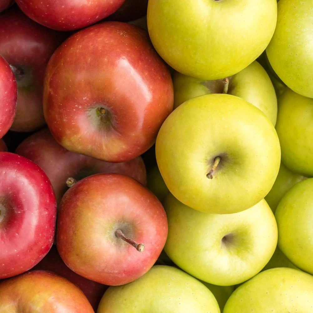 2-in-1 Apple Surprise Tree 5 2-in-1 Apple Surprise Tree - Image 3