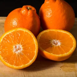 Tangelo Tree 13 Tangelo Tree -Deals The Flora Sprout Store Tangelo 3 FGT