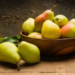 Warren Pear Tree -Deals The Flora Sprout Store Warren Pear Tree 1