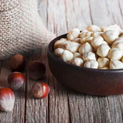 York Filbert Hazelnut 12 York Filbert Hazelnut -Deals The Flora Sprout Store York Hazelnut 5