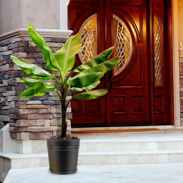 Deals The Flora Sprout Store -Deals The Flora Sprout Store 1 1